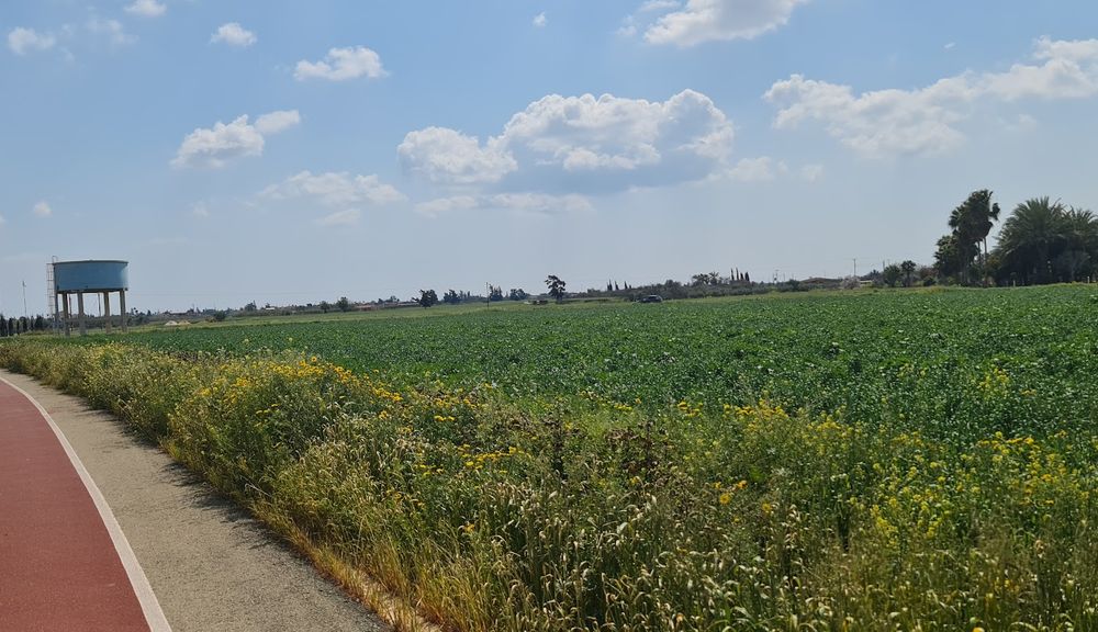 avgorou - cypr - pole