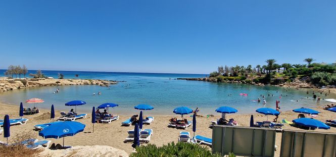 piaszczysta plaża z niebieskimi parasolami i turkusową wodą w Protaras